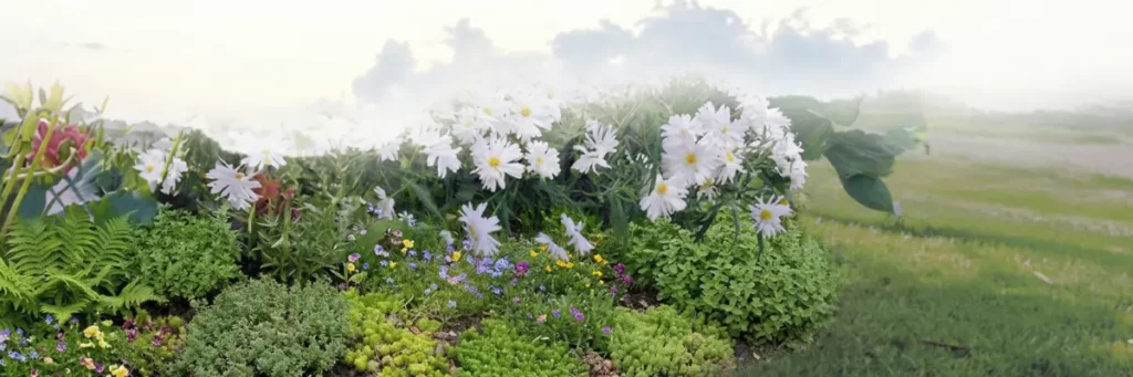 Partenariat entre Nortene et Savez-vous Planter Chez Nous