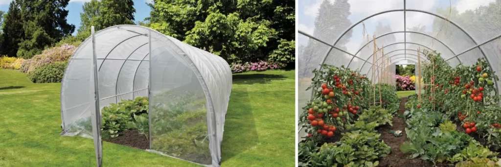 La serre Cerea de Nortene