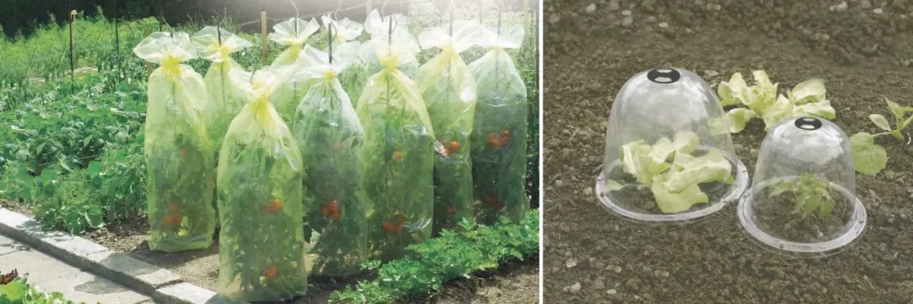 Les housses de croissance et cloche de for&ccedil;age de Nortene