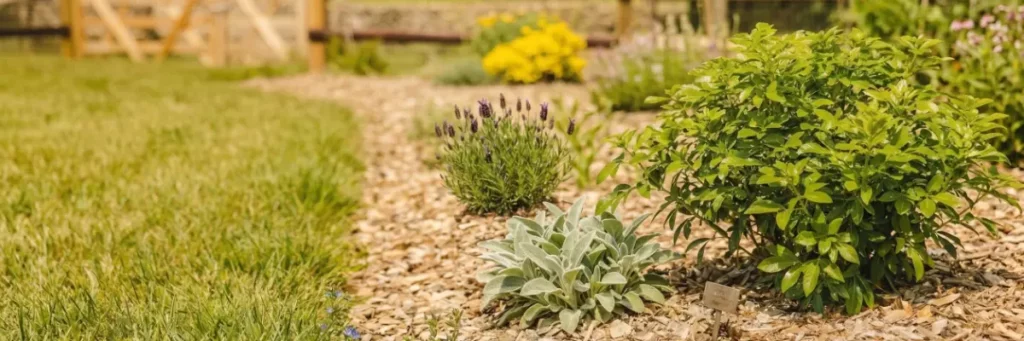 Le paillage pour lutter naturellement contre les mauvaises herbes