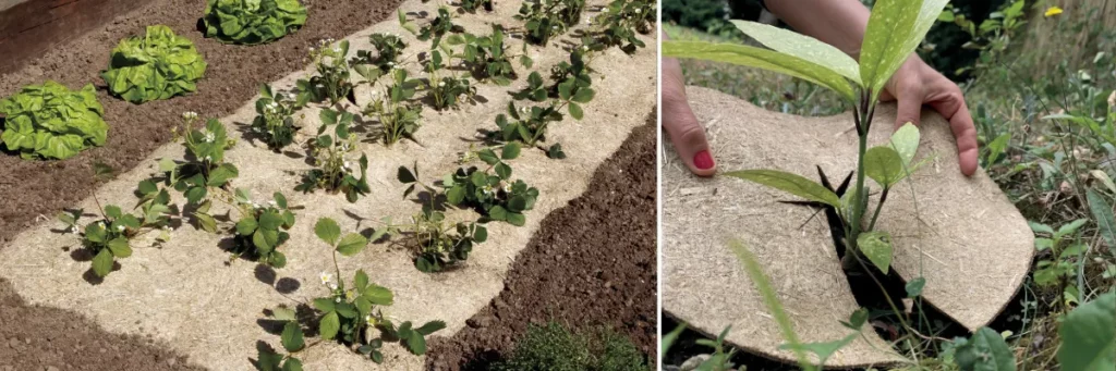 Paillage naturel Nortene