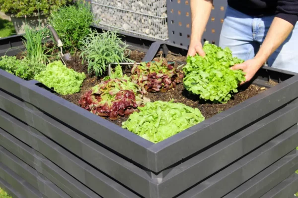 Le carré potager pour optimiser son espace de culture