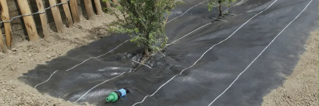 Paillage Watersol