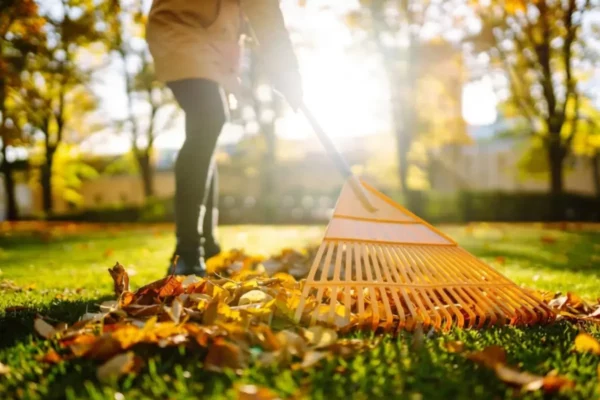 Les bons gestes à adopter au jardin en septembre