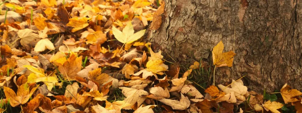 Les feuilles mortes au sol en automne